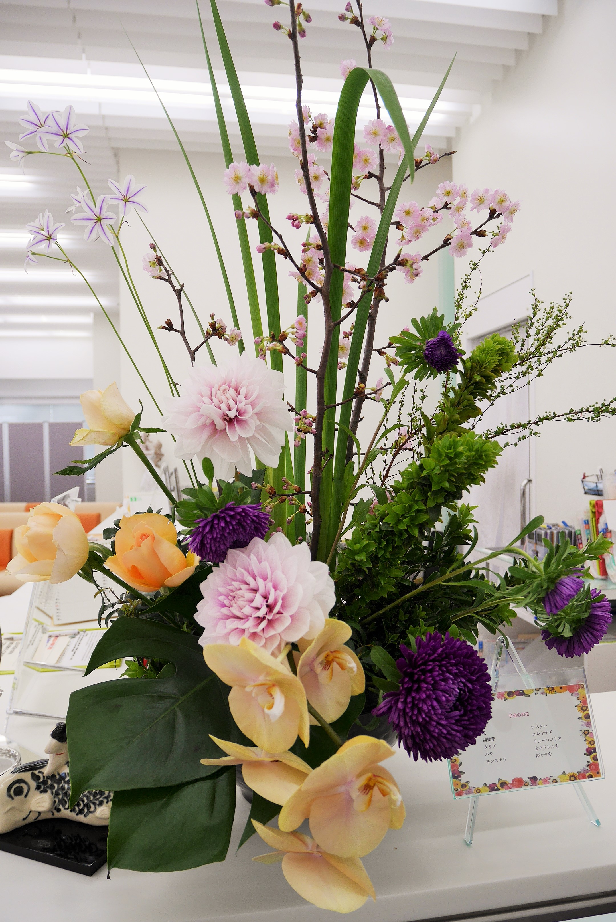 今週のお花 4 8 4 13 松田ウイメンズクリニック 今週のお花 4 8 4 13 松田ウイメンズクリニック