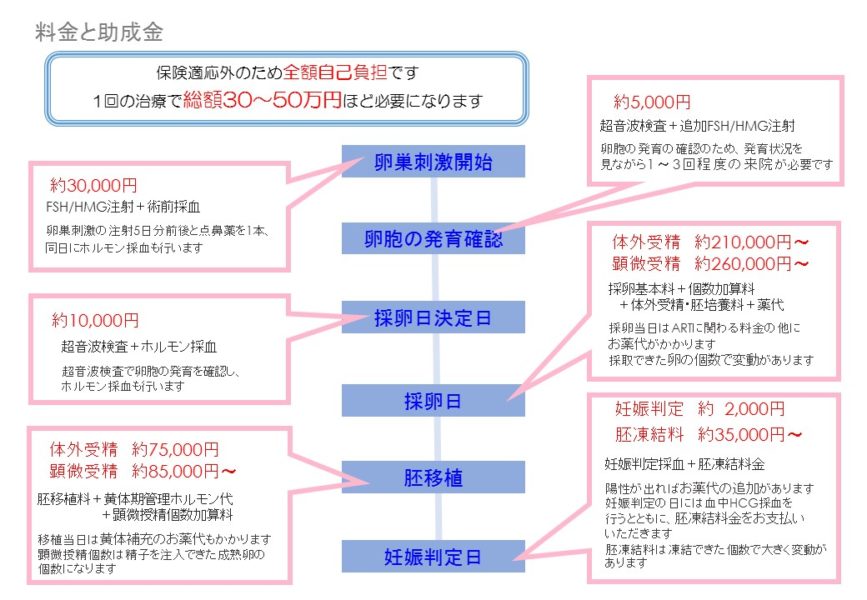 に 胞 胚 ならない 盤