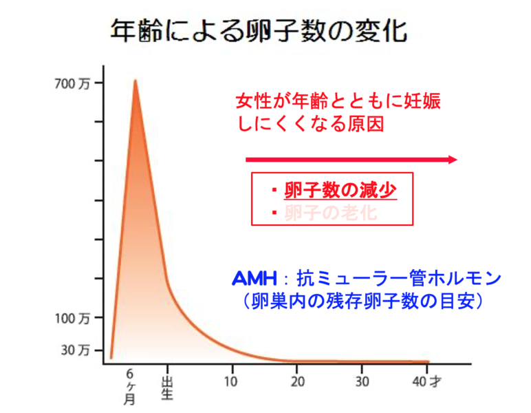 人は見た目が Or 人は見かけによらない 松田ウイメンズクリニック