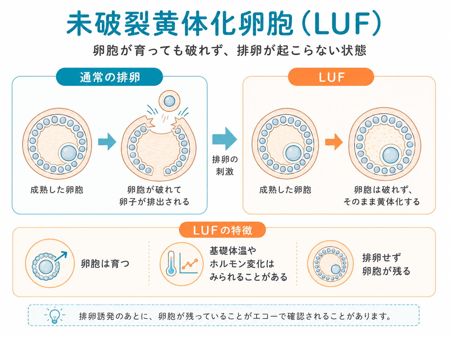排卵しにくい場合の説明図